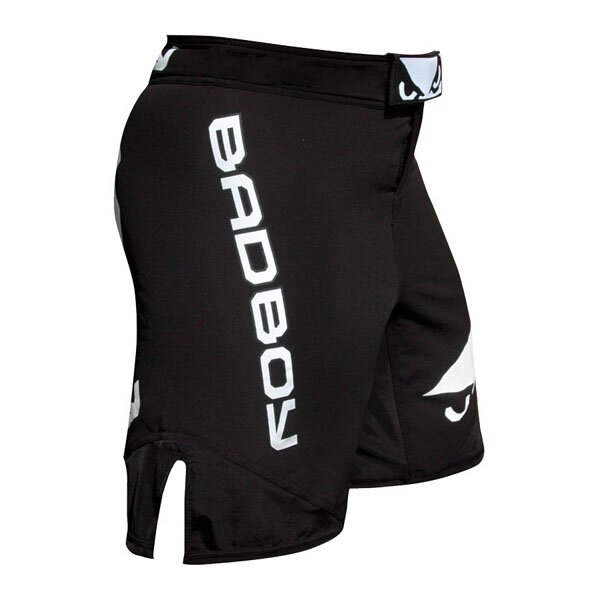 Шорты Bad Boy Legacy II Shorts Black